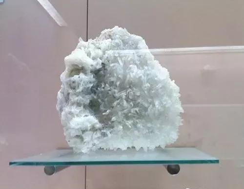微信图片_20210416174443.jpg