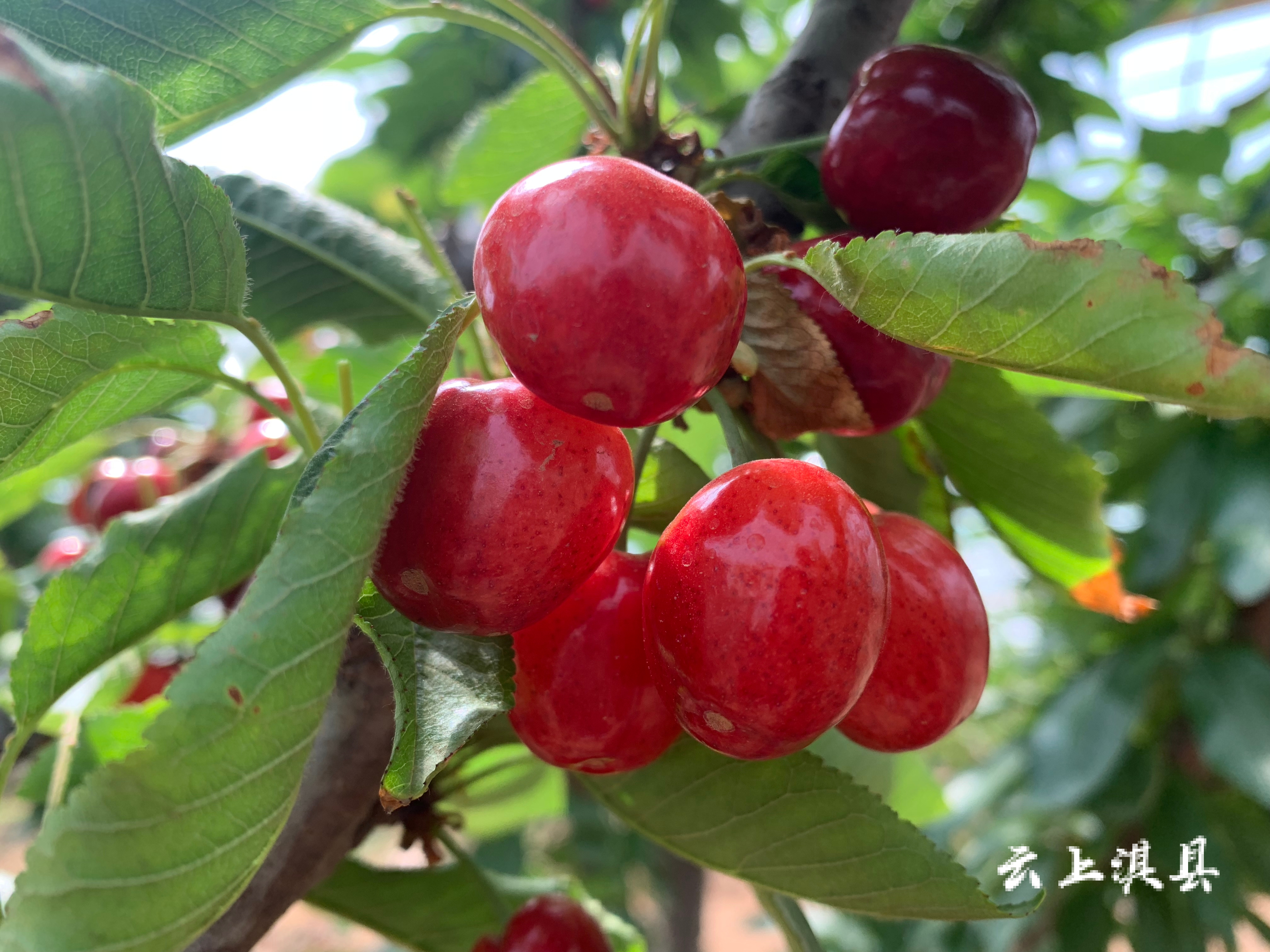 微信图片_20210430175603.jpg