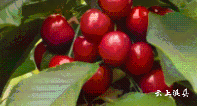 becb8ec00519b4ff701761c5bfeffd6a.gif becb8ec00519b4ff701761c5bfeffd6a.gif