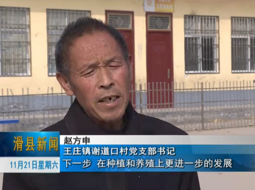 滑县王庄镇找准路子抓产业致富路上信心足