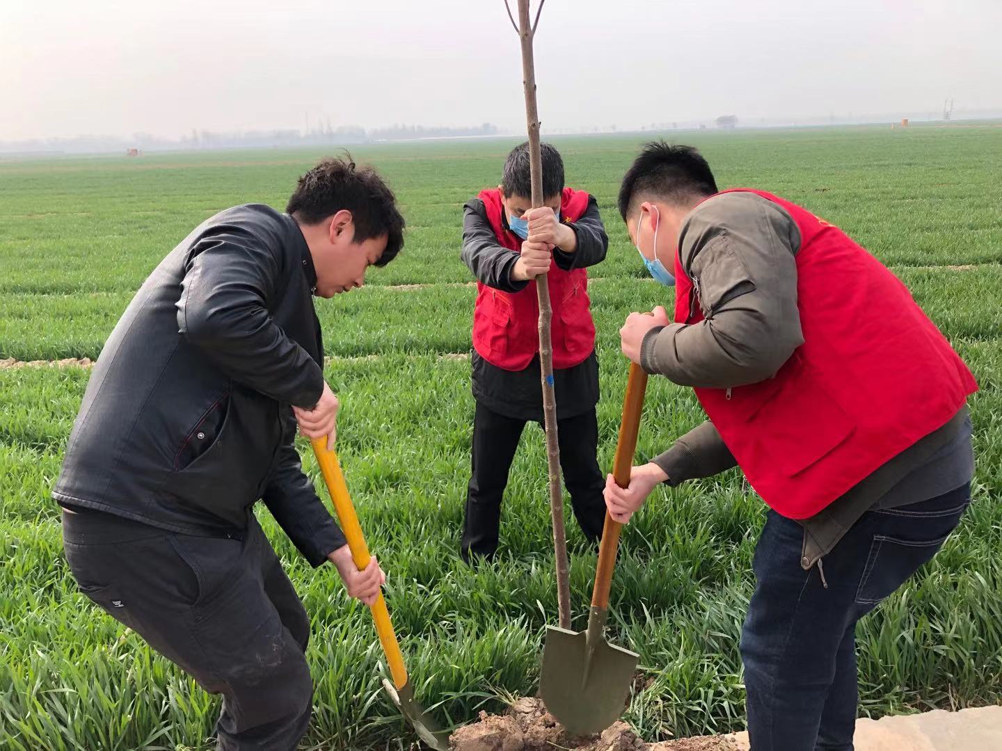 滑县枣村乡志愿者义务植树让生态更美好