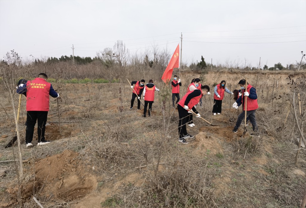 春回大地暖植绿正当时辉县市政府办公室开展植树活动