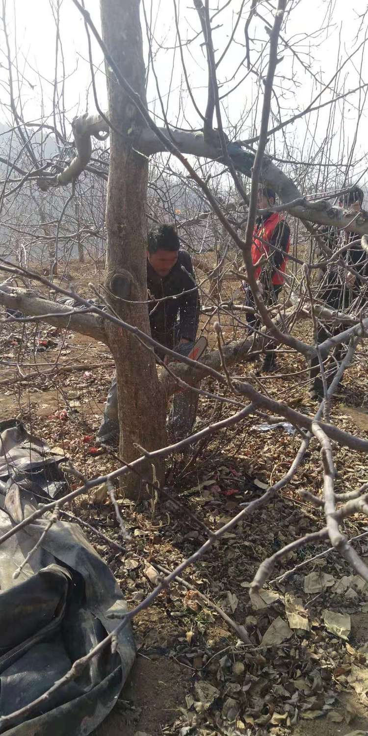 微信图片_20210224152015.jpg