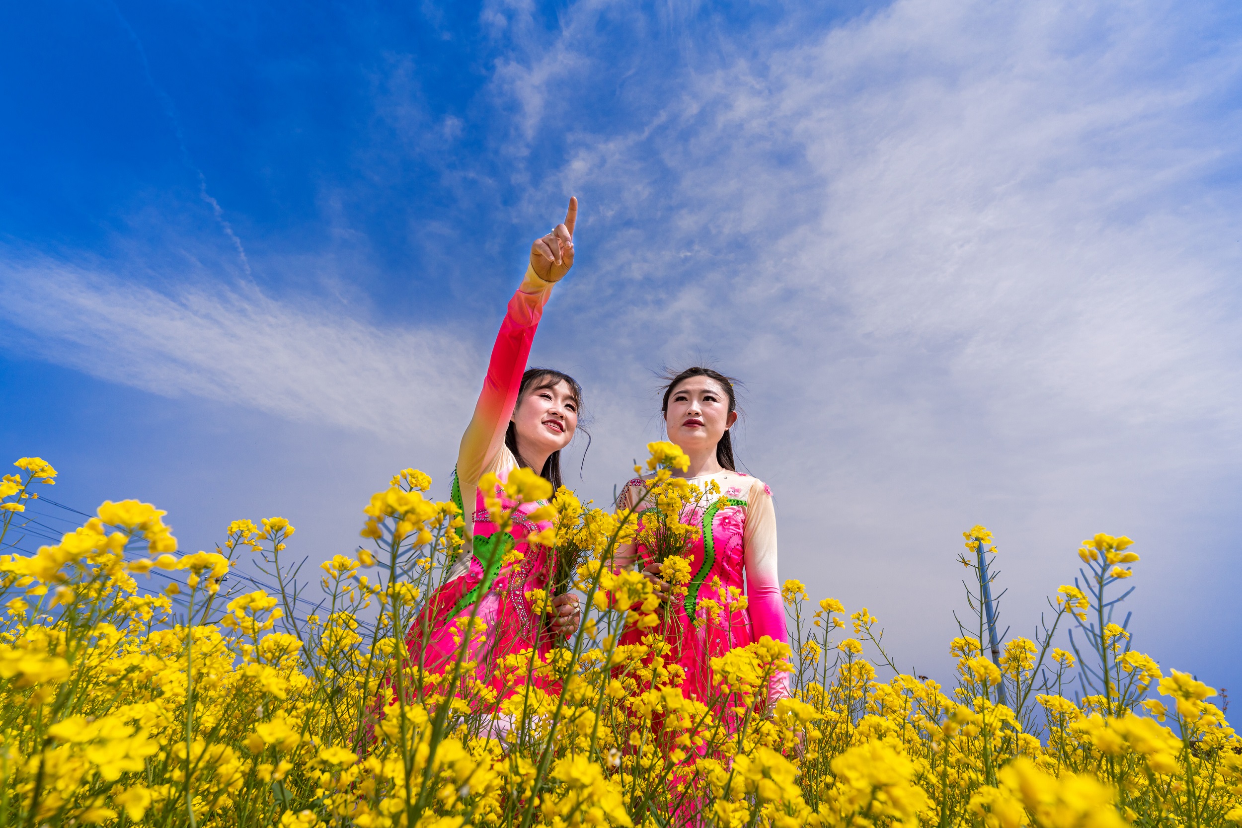 灵宝:花开山乡醉美苏村