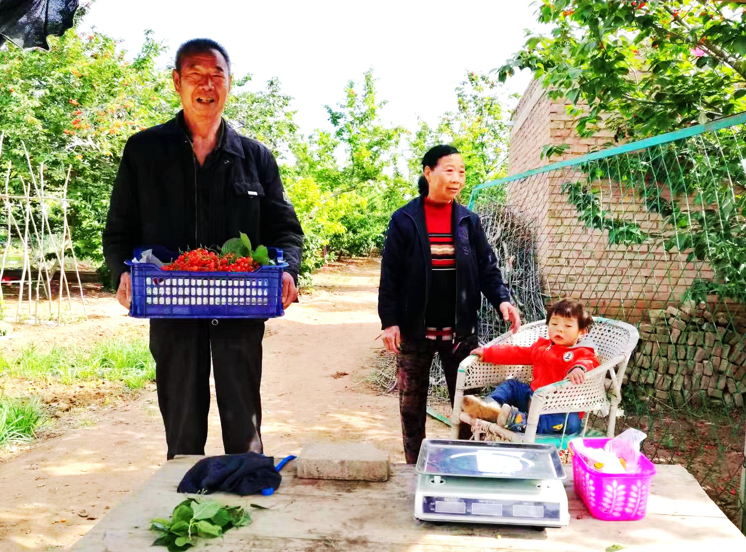 微信图片_20220501132713_副本.jpg