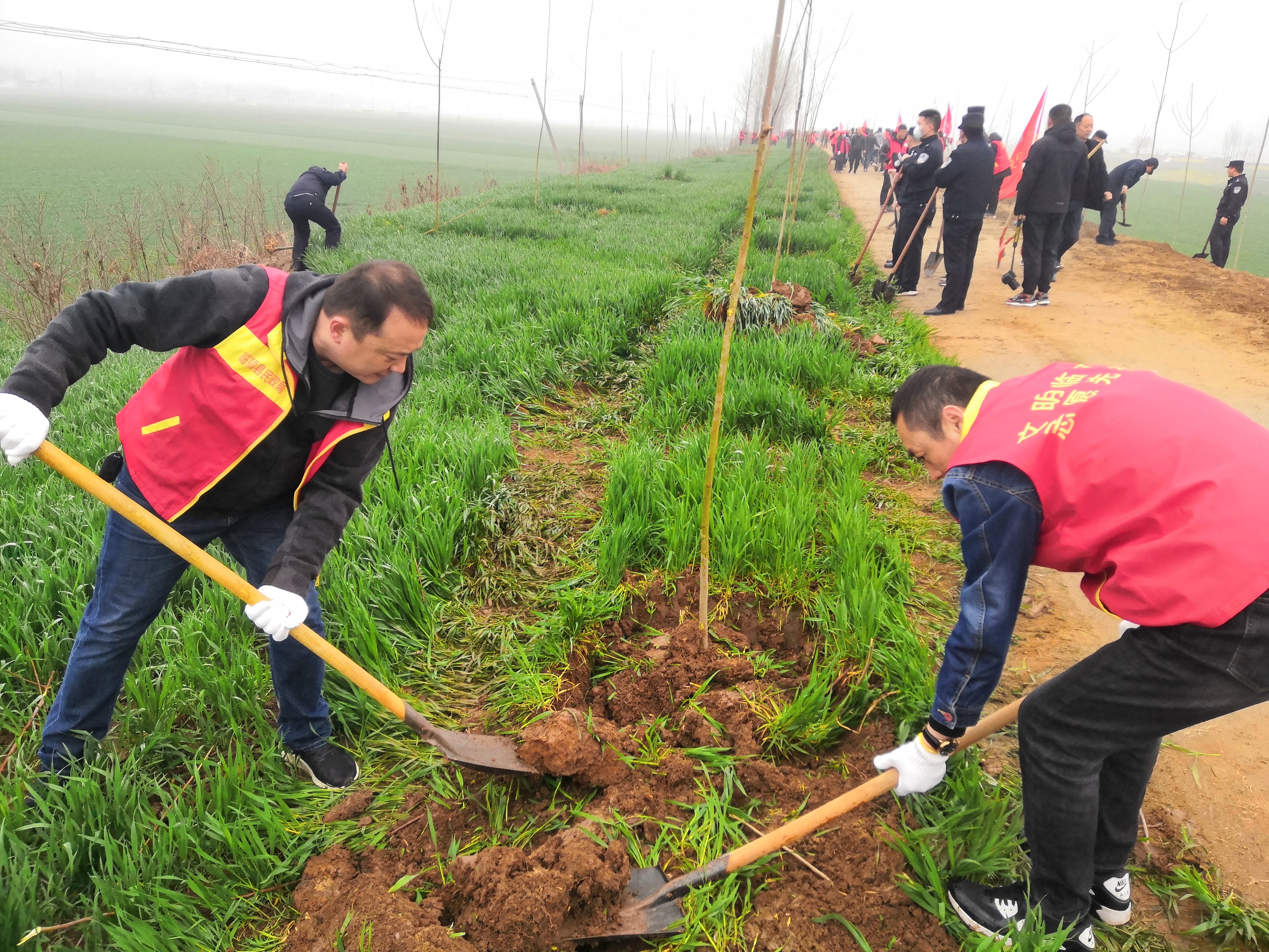 3月12日,临颍县民政局组织志愿者开展春季义务植树活动04.jpg