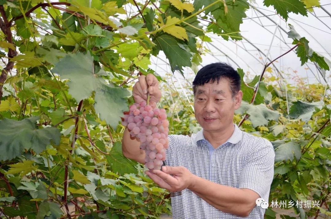 微信图片_20190922081217.jpg