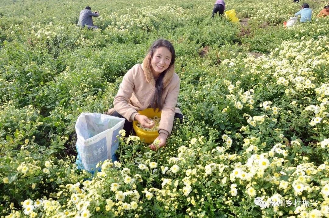 微信图片_20190922081131.jpg