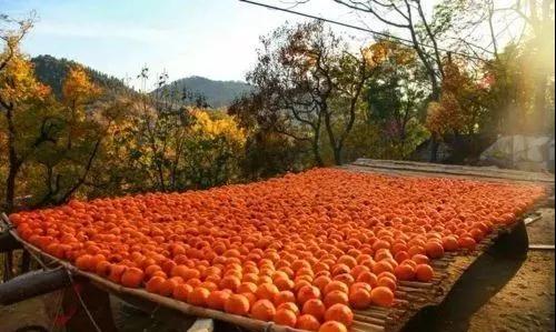 微信图片_20190922081158.jpg