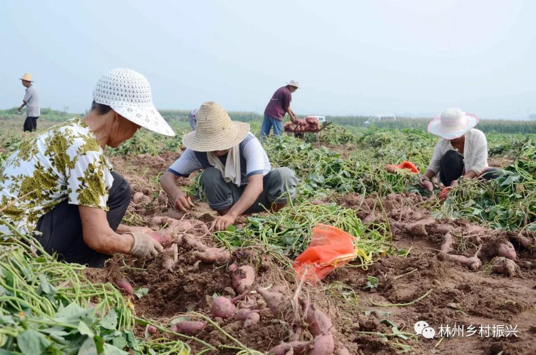 微信图片_20190922081208.jpg