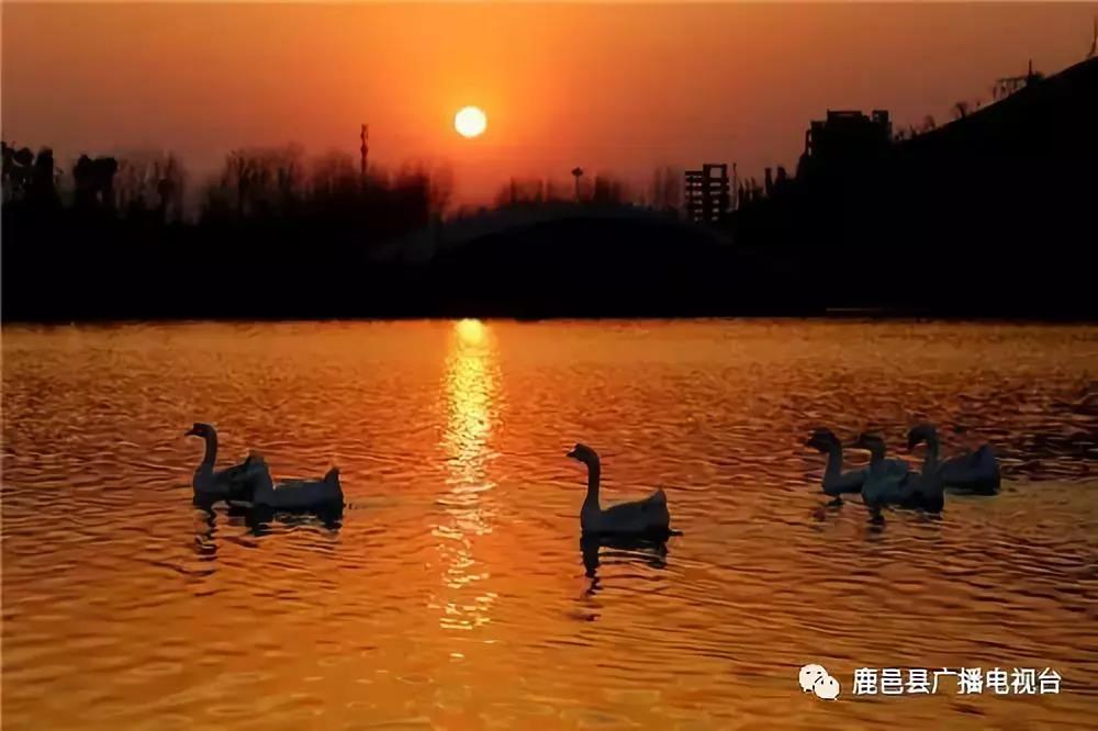 ΢ňDƬ_20210329163944.jpg