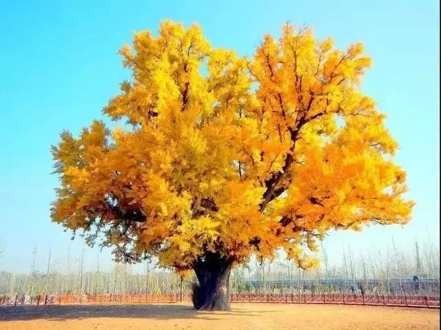 ΢ňDƬ_20210329164154.jpg