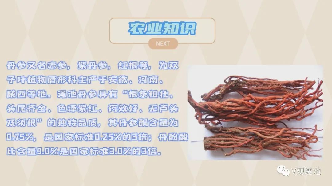 微信图片_20220311120057.jpg