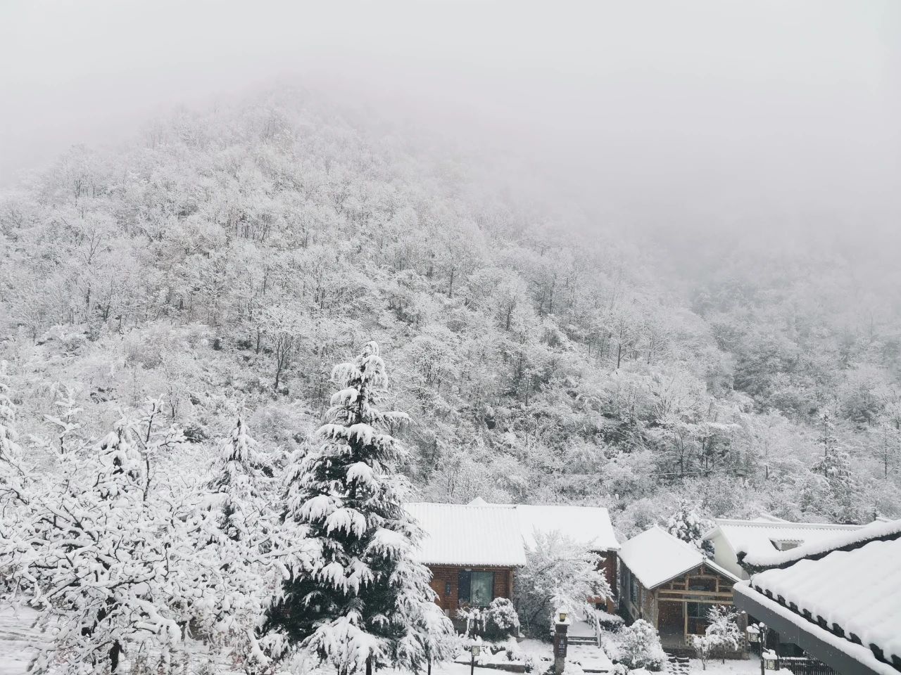 南召大宝天曼 | 滑雪场开业在即!