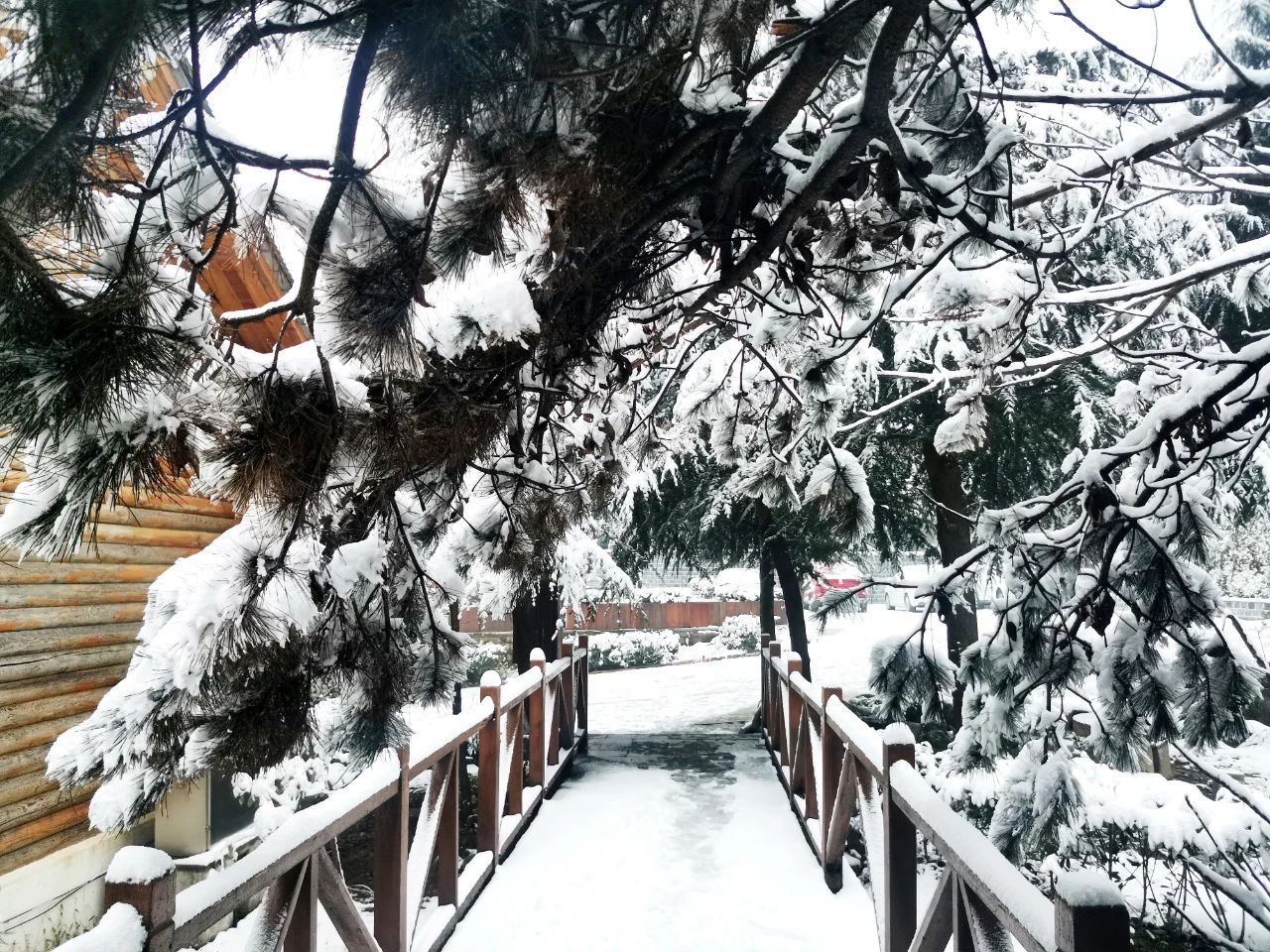 南召大宝天曼 | 滑雪场开业在即!