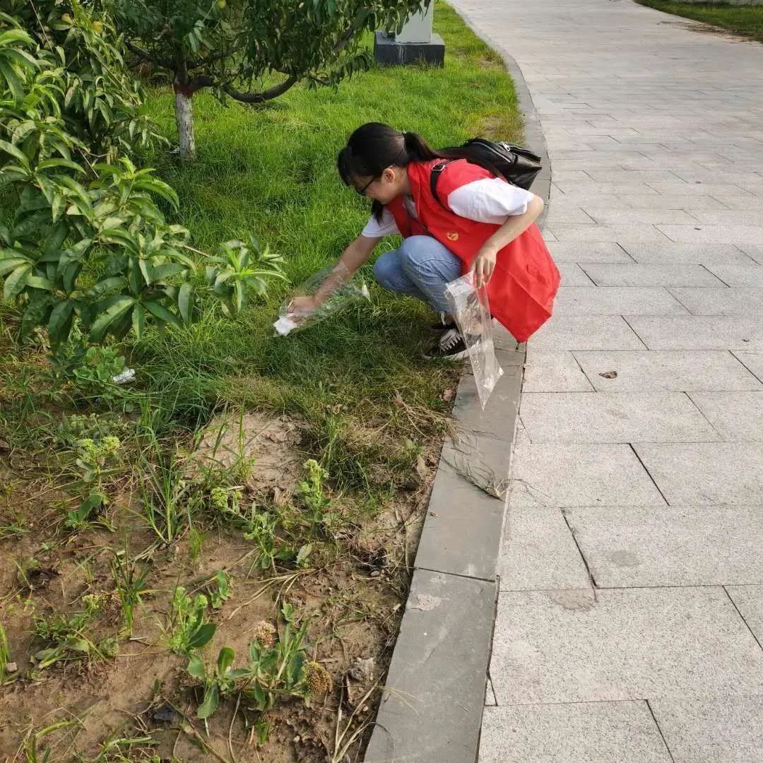 活动开始前,志愿者临时团支部书记马嘉康表示虽然这项活动仅是这次