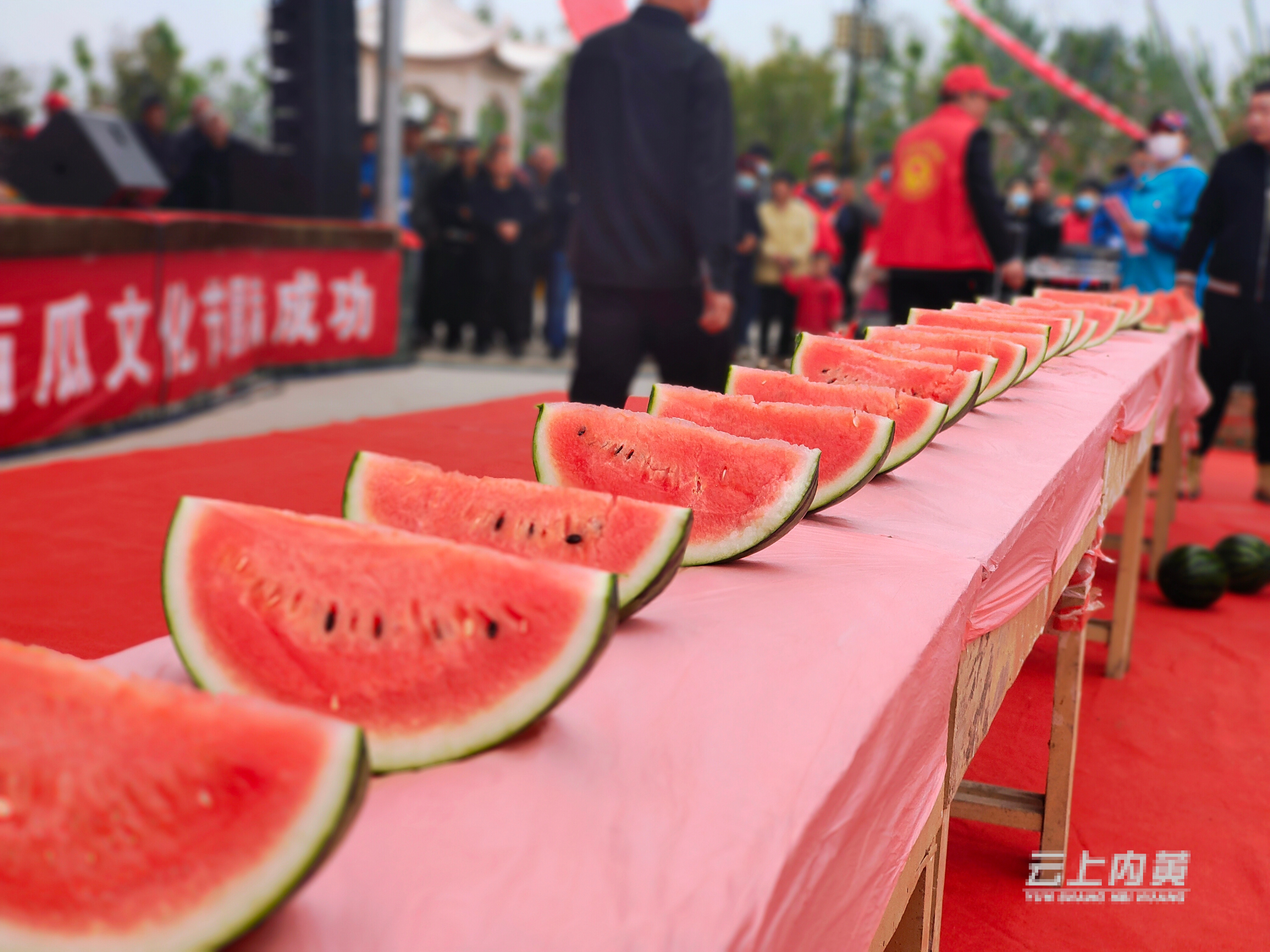 内黄县:西瓜节来了!当吃瓜群众去!