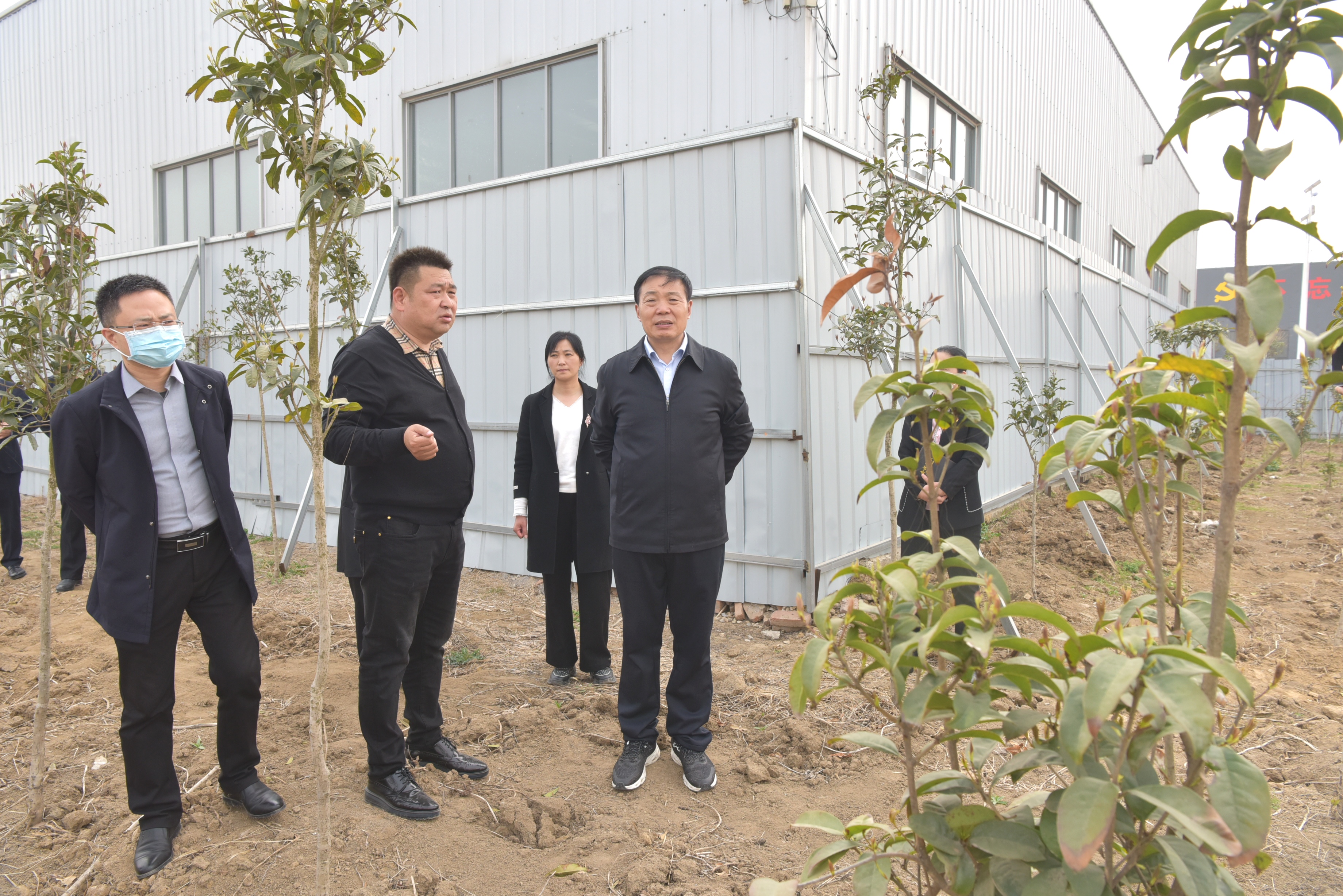 平舆县委副书记县长刘飞调研农业产业发展与规划
