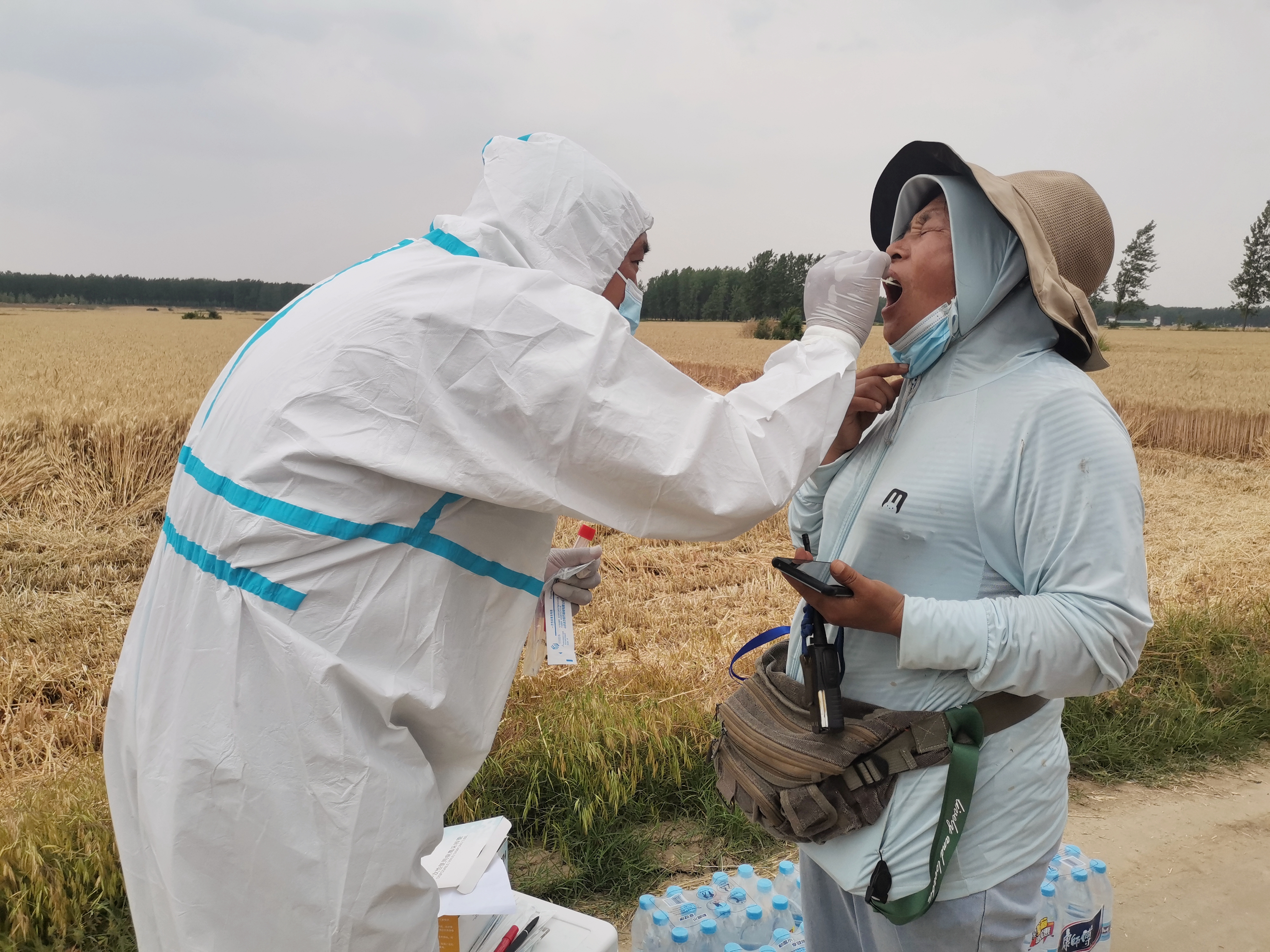 平舆主动靠前服务护航三夏生产防疫人员田间地头为农机手采集核酸