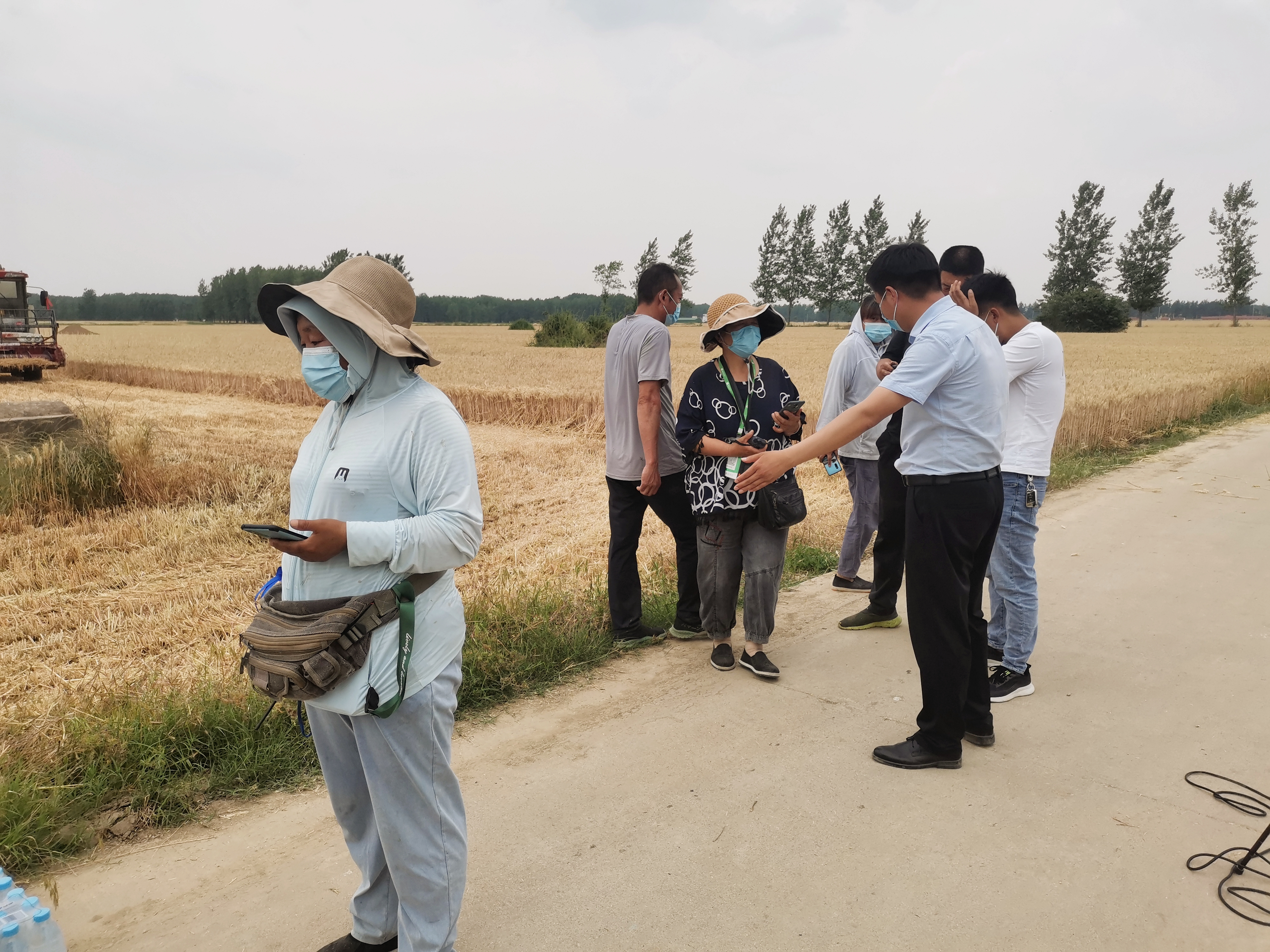 平舆主动靠前服务护航三夏生产防疫人员田间地头为农机手采集核酸