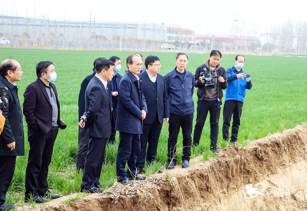 市领导督导温县黄河流域生态环境保护工作