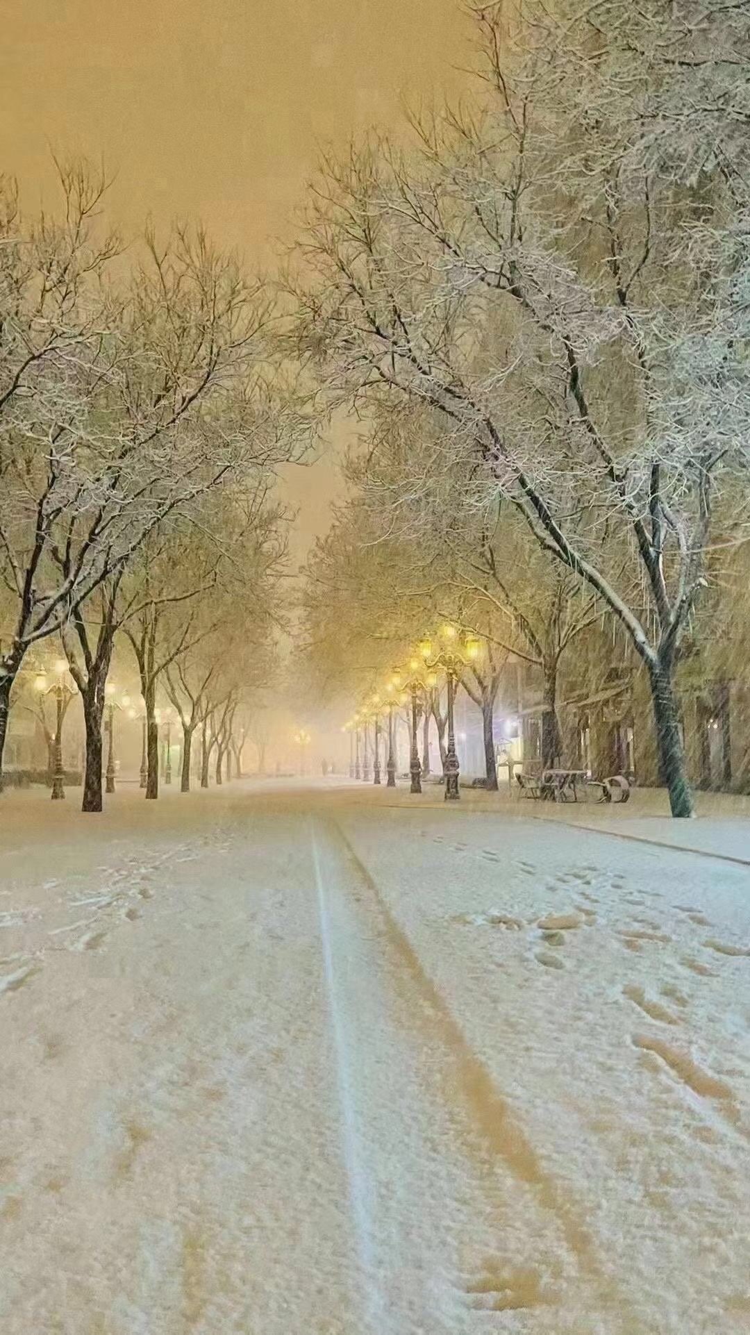 武陟:你朋友圈的雪景照片被点名了