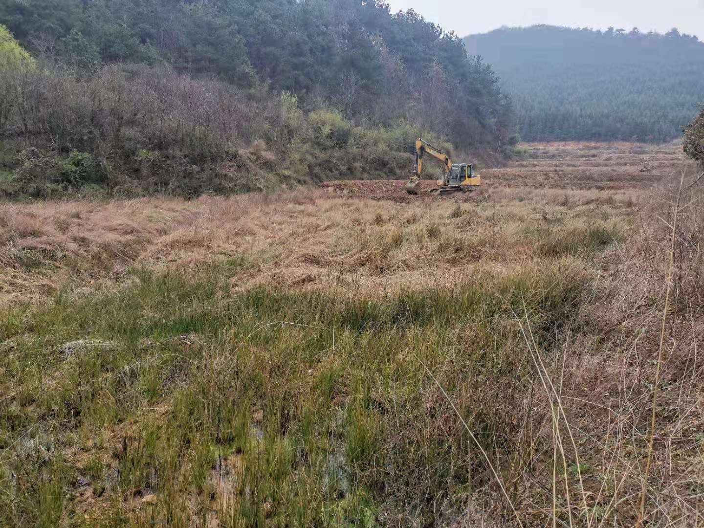 新县吴陈河镇有力有序有效推进撂荒耕地治理