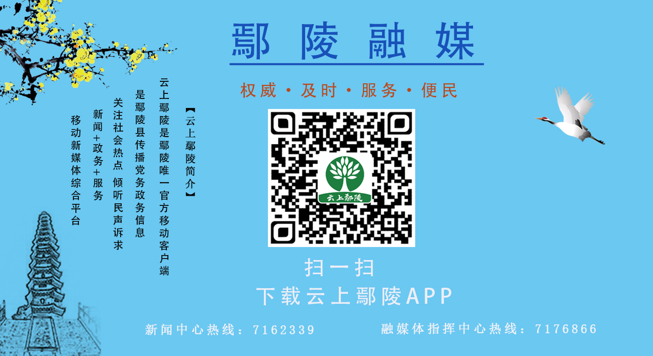 云上鄢陵.jpg