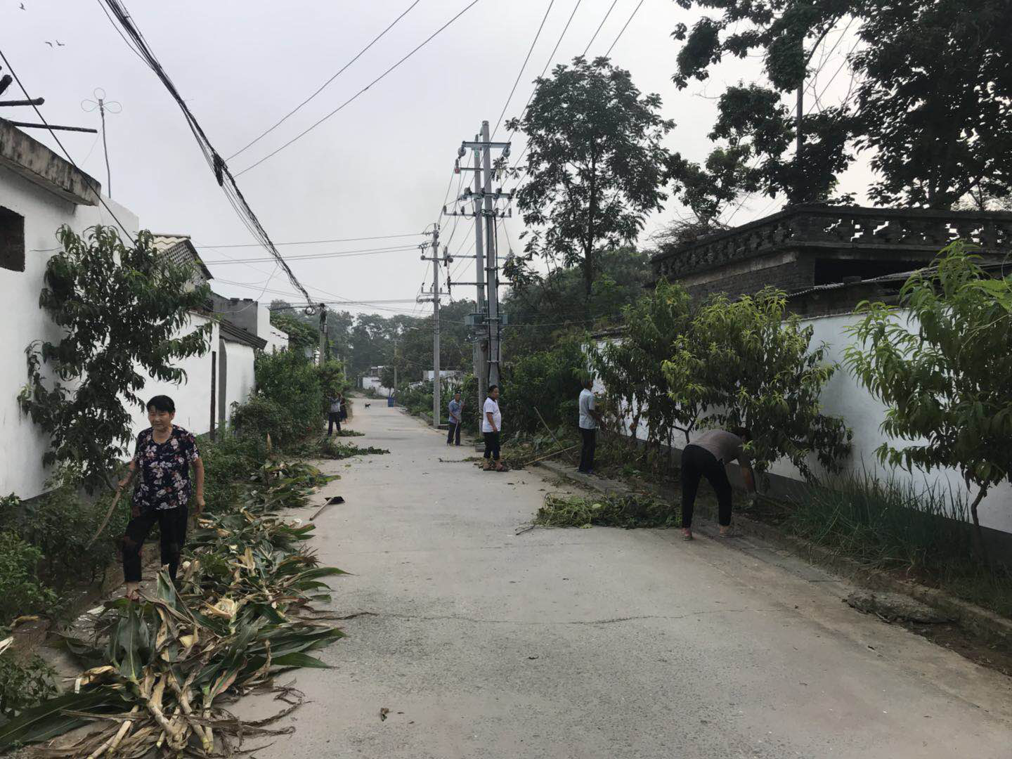 为积极响应全国文明城市创建工作,方岗镇韩岗村主动参与,积极行动