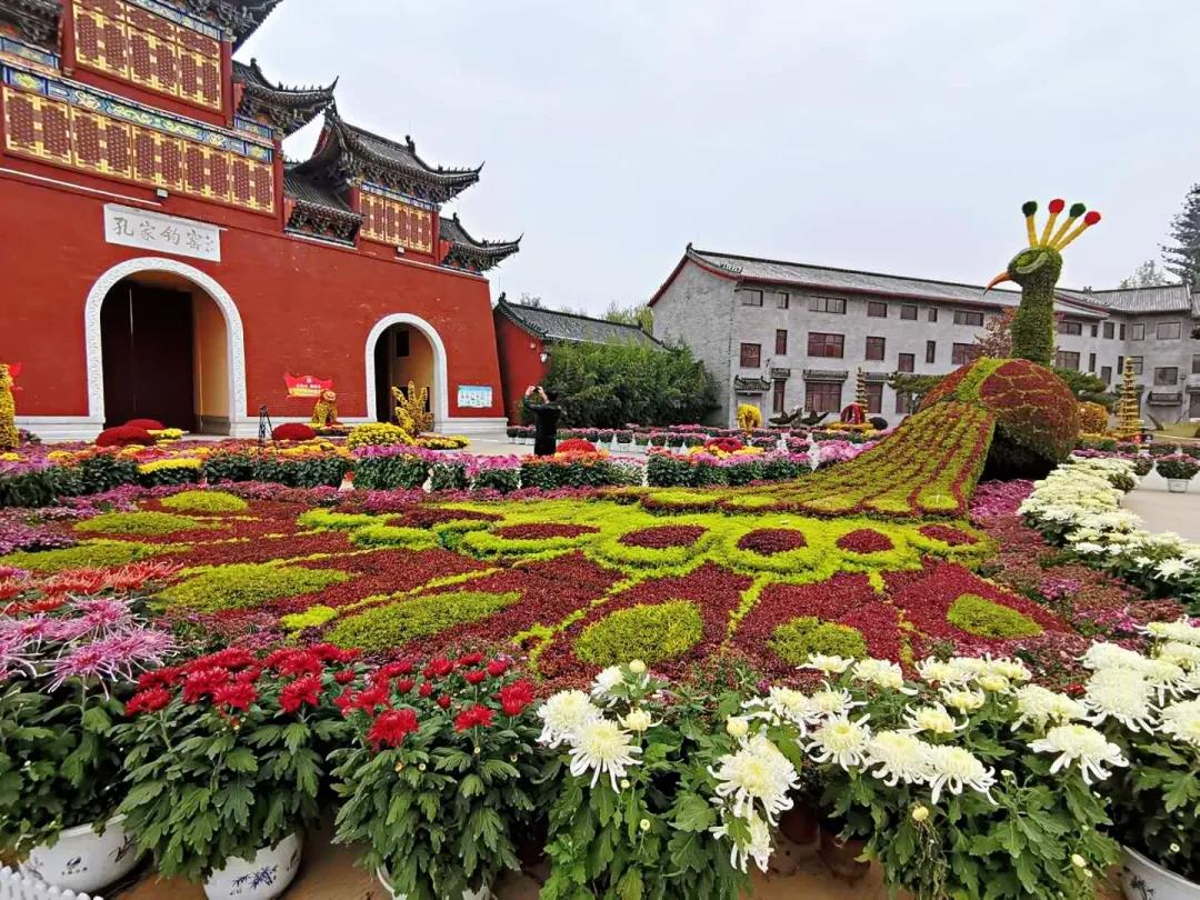 10.29旅游1.jpg 10.29旅游1.jpg