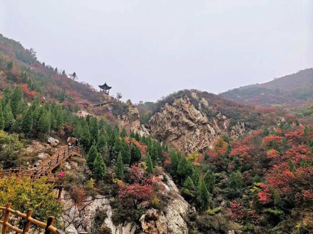 10.29旅游7.jpg 10.29旅游7.jpg