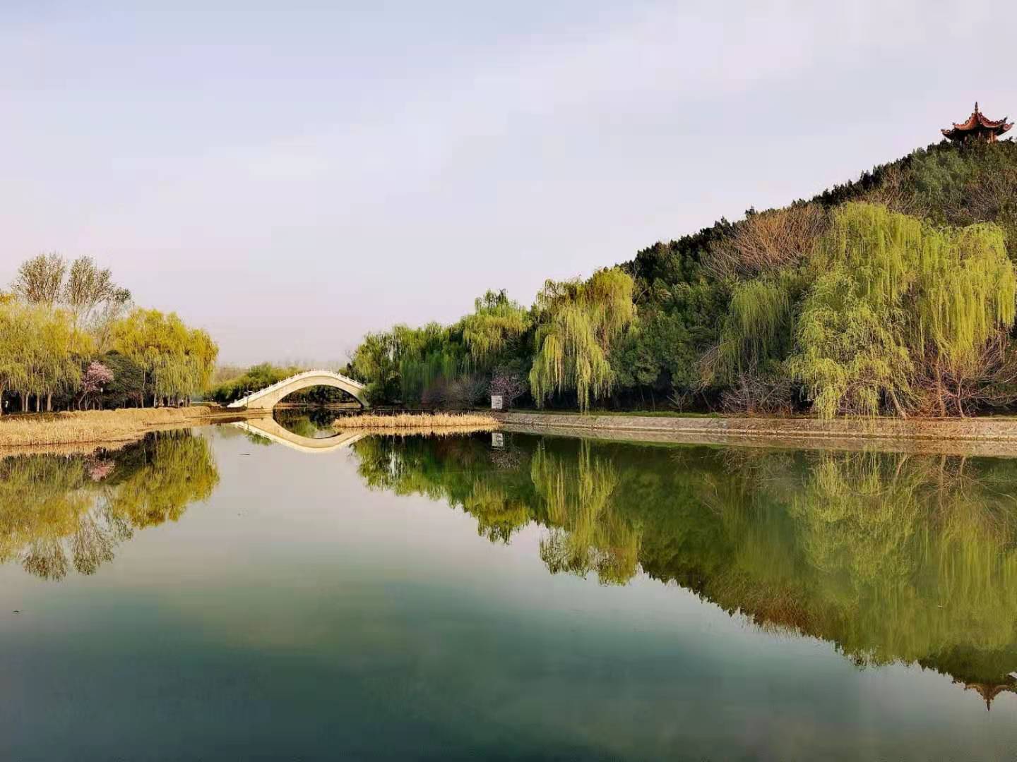 禹州森林植物园:休闲健身地,处处小景美(四)