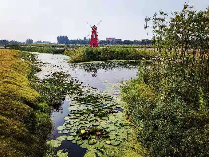 河南禹州湿地公园芳容初现