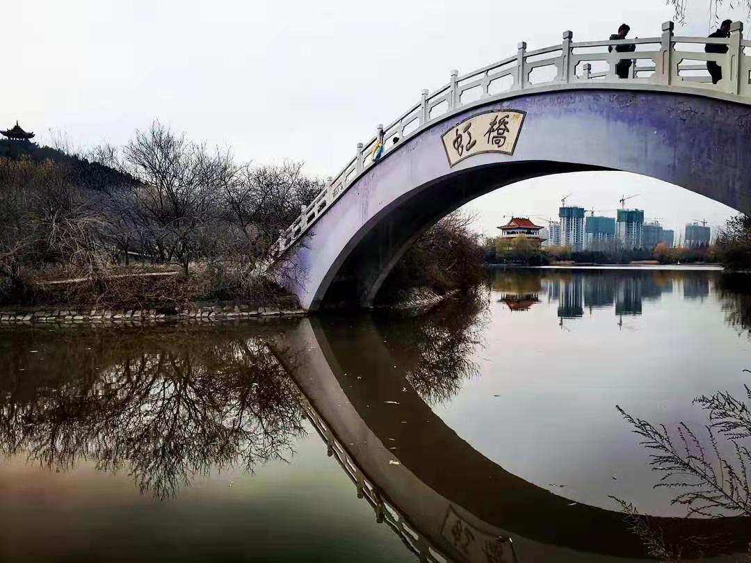 河南禹州森林植物园风景这边独好