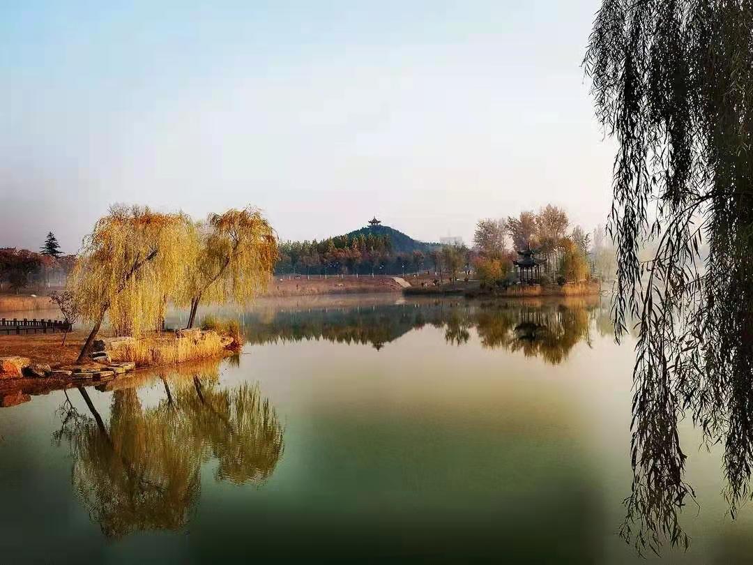 河南禹州森林植物园:风景这边独好!