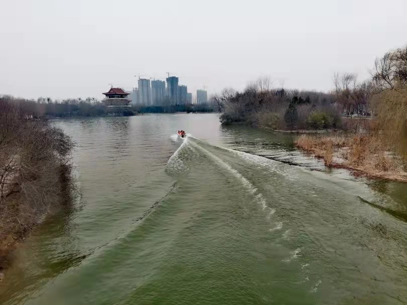 禹州森林植物园:牛年正月初二,游客逍遥乐淘天!