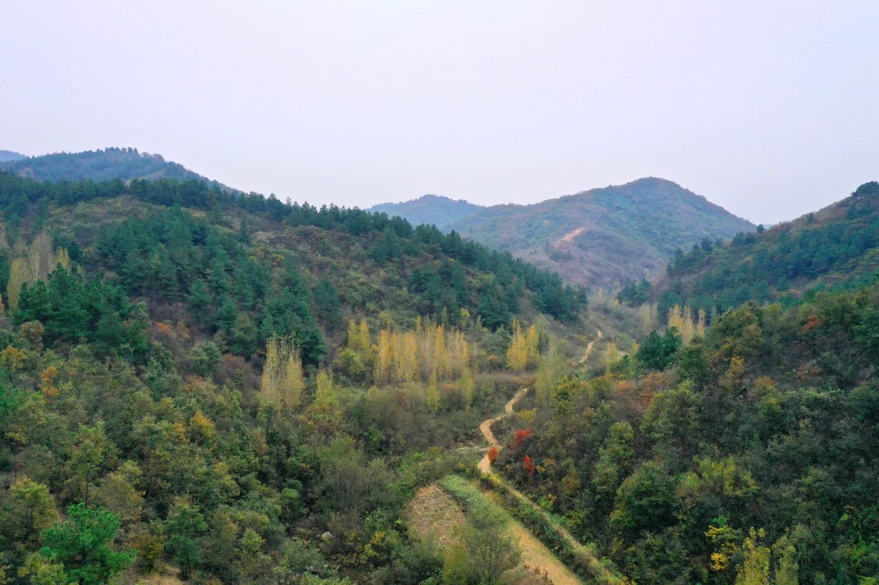 盘古山腹地有个石碑山冲,这个季节五彩斑斓.