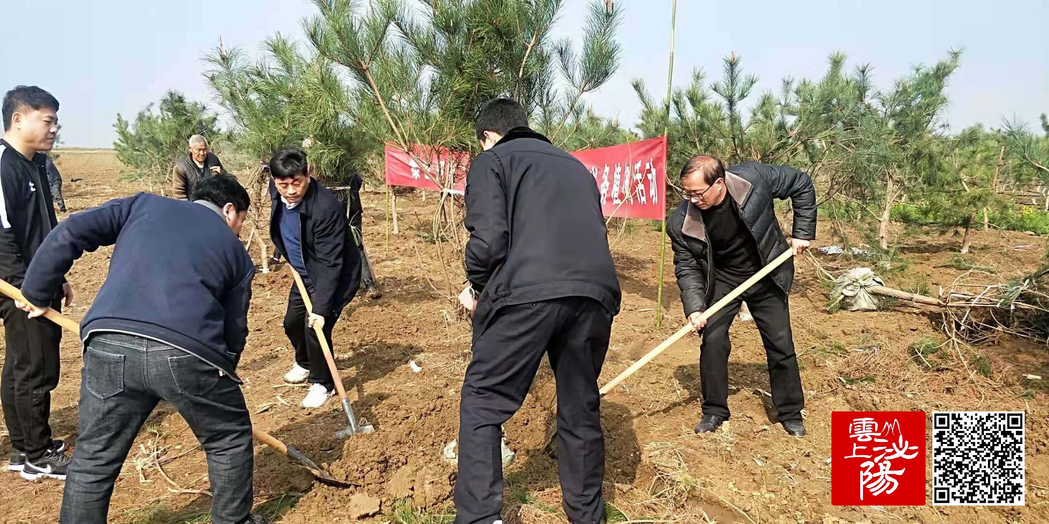 泌阳县泰山庙镇组织义务植树活动