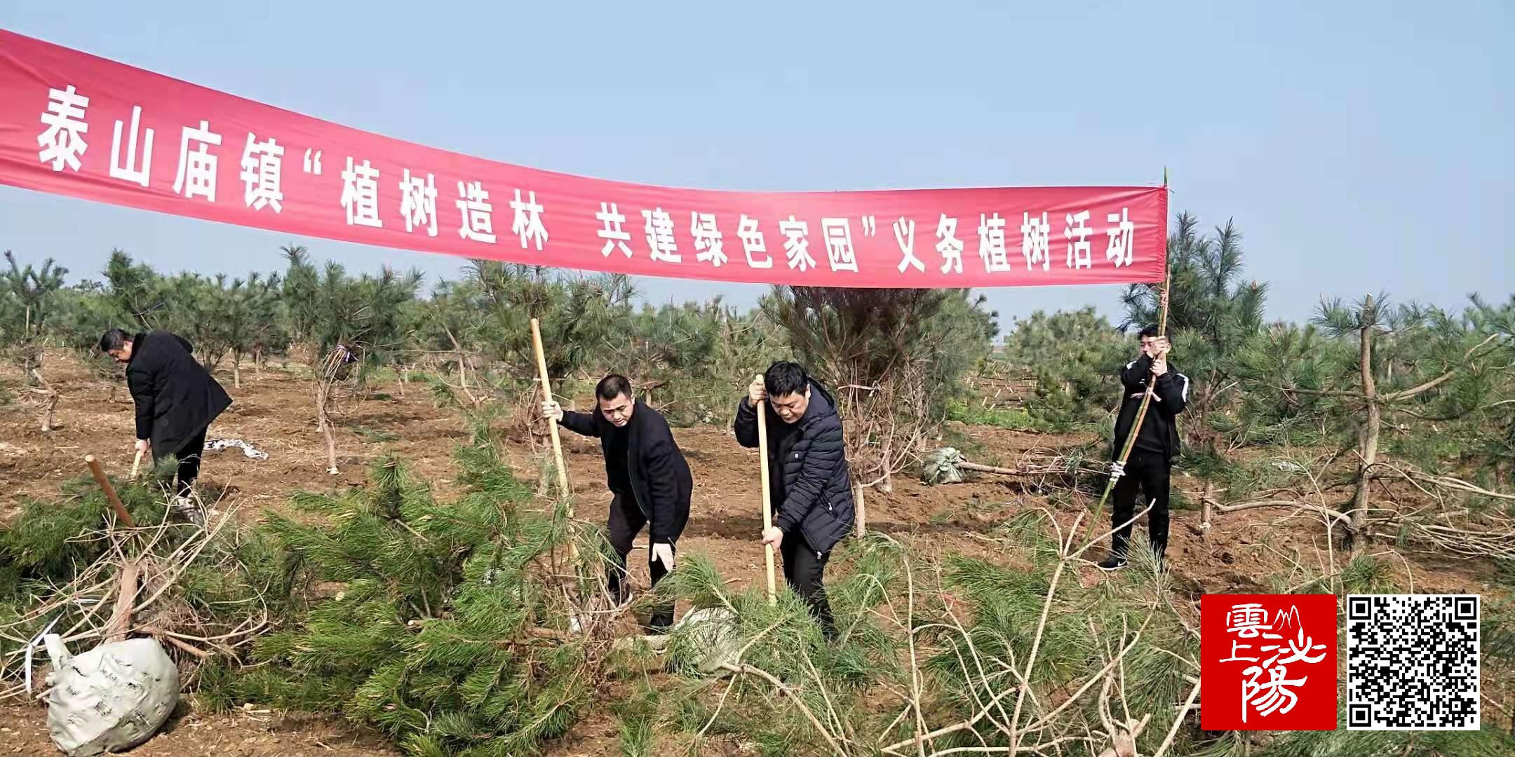 泌阳县泰山庙镇组织义务植树活动