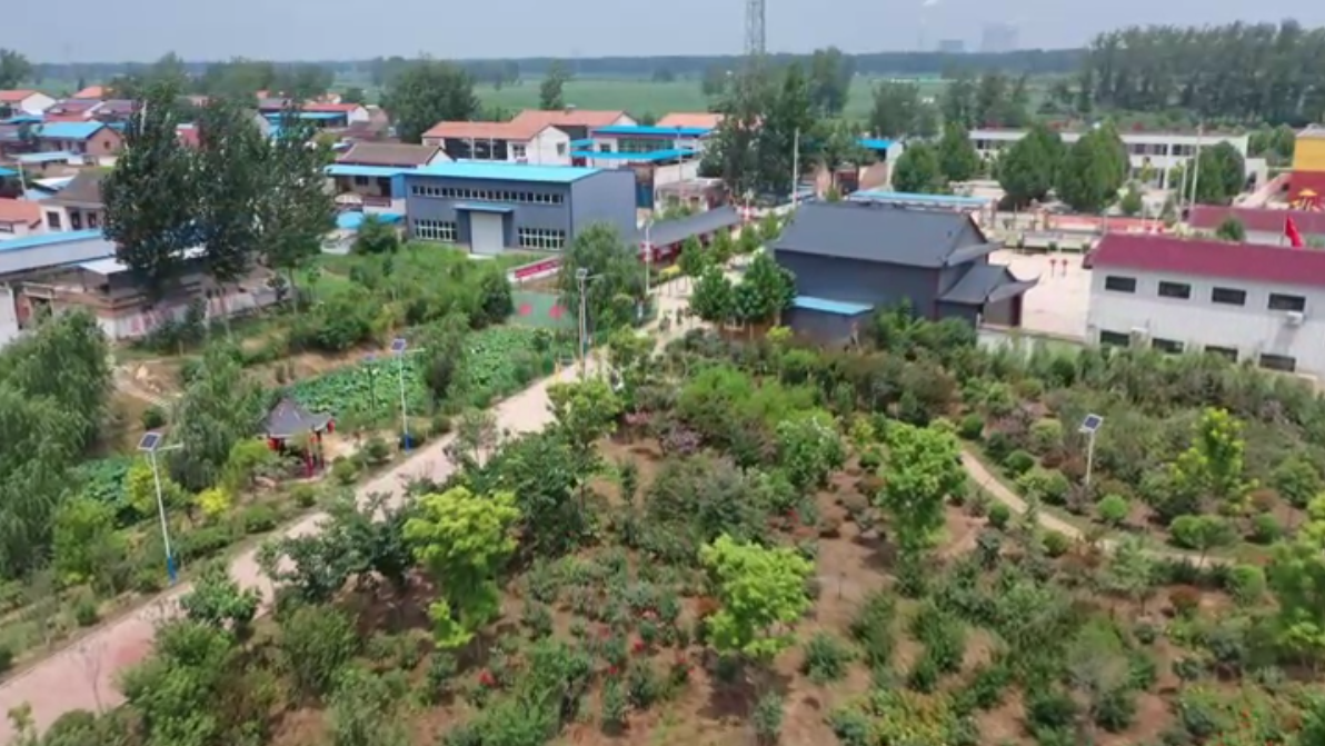 封丘县赵岗镇映日荷花好风景生态宜居美乡村