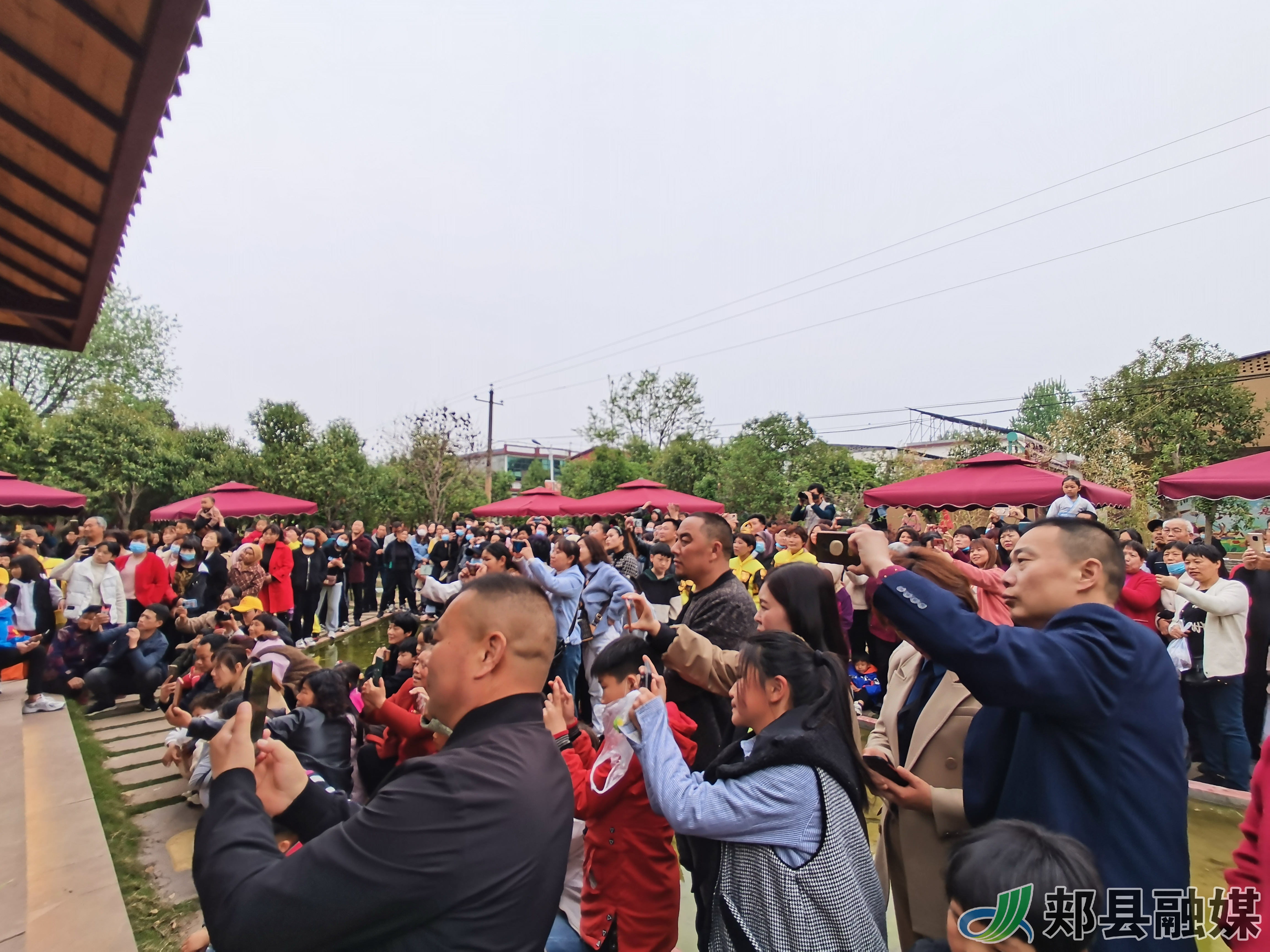 郏县姚庄旅游区首届樱花节活动持续火爆进行中!