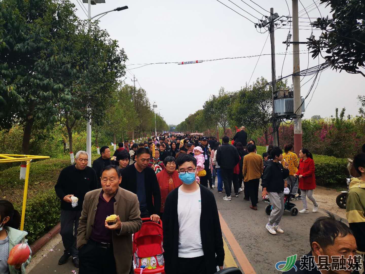 郏县姚庄旅游区首届樱花节活动持续火爆进行中