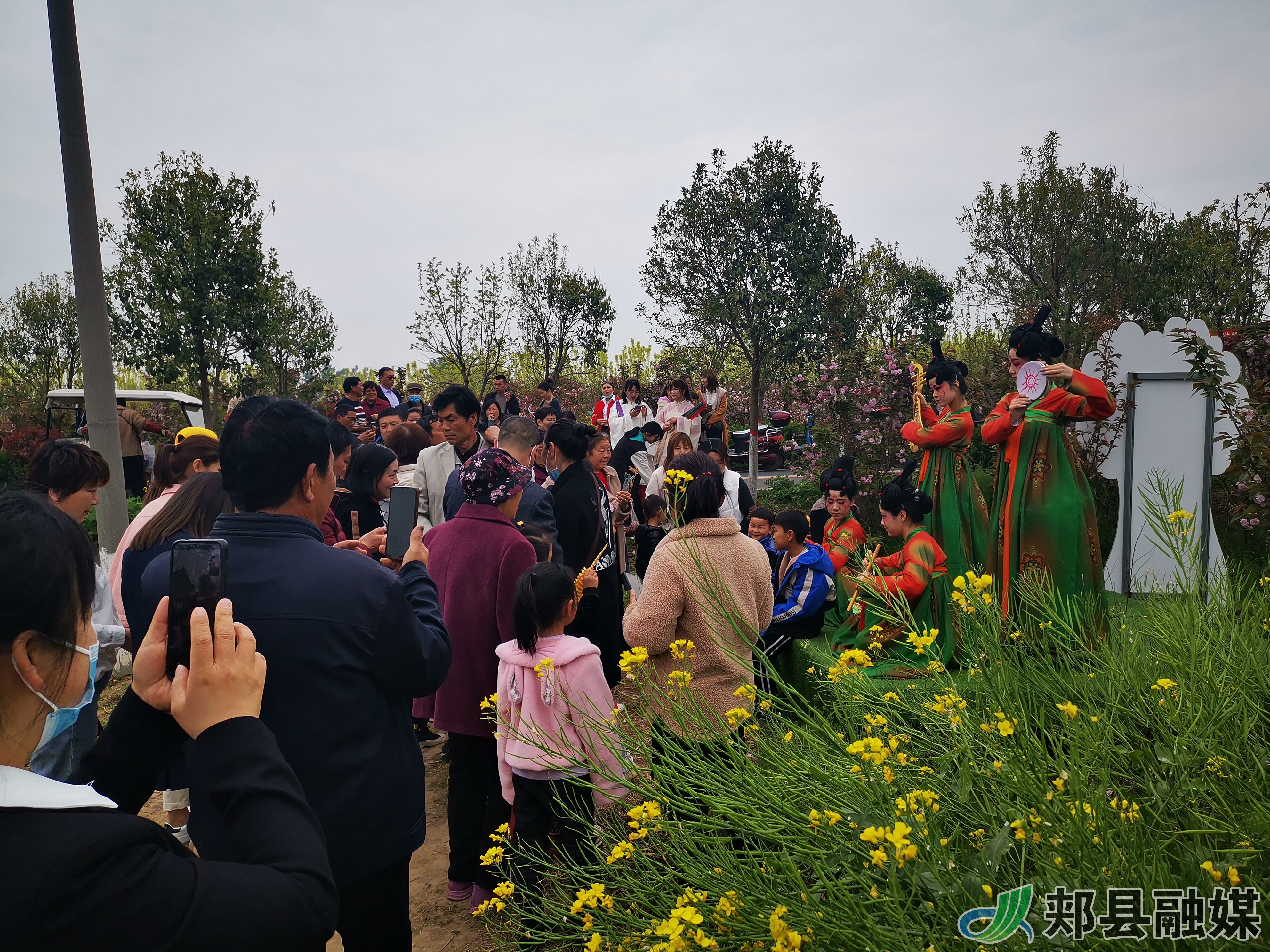 郏县姚庄旅游区樱花节活动持续火爆进行中