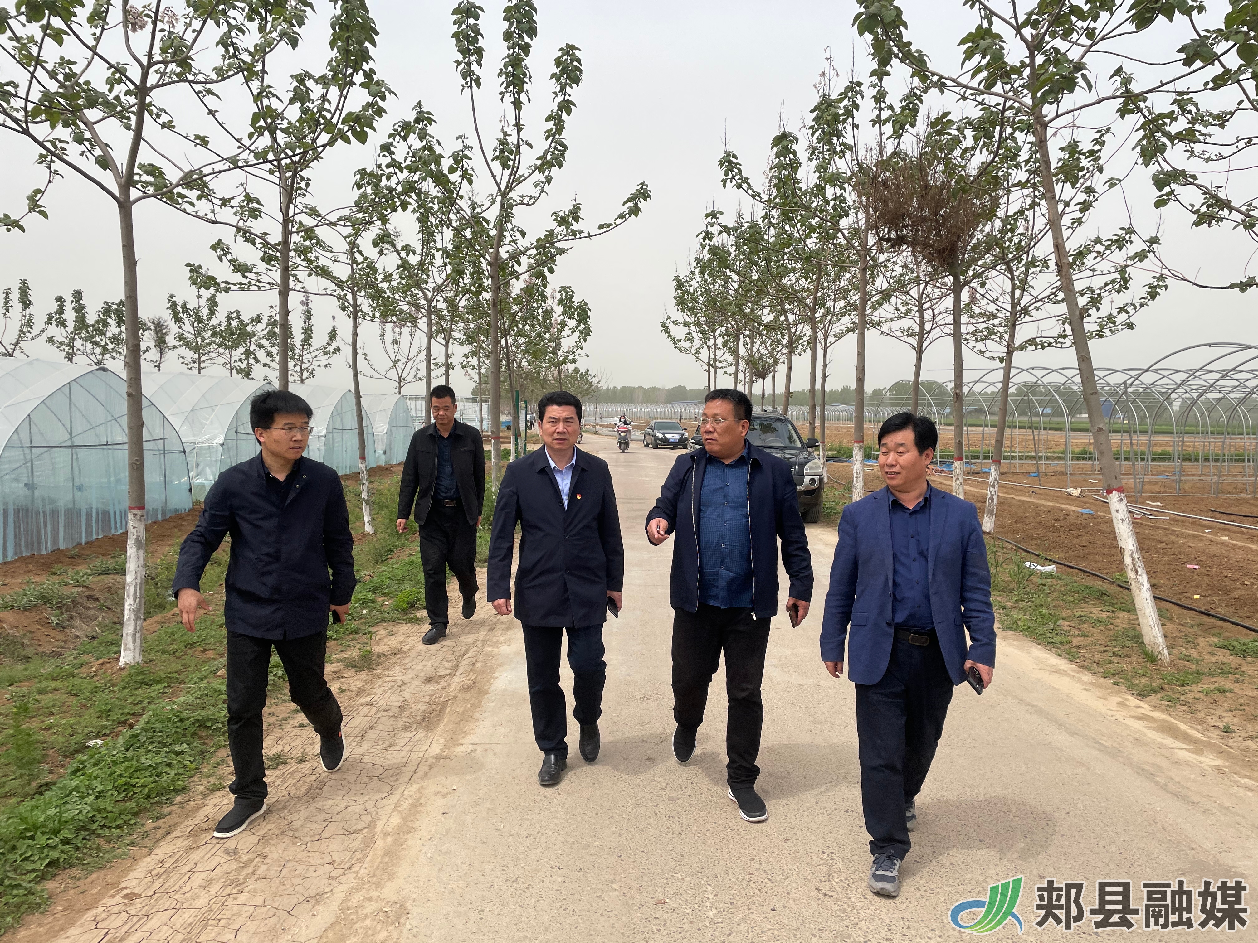 郏县副县长李政杰到堂街镇调研指导产业发展和小麦赤霉病防治工作