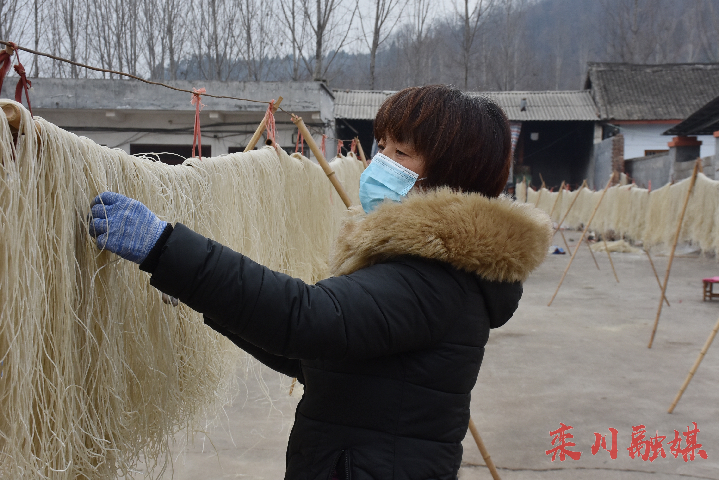 春节近生产忙栾川加工粉条助增收