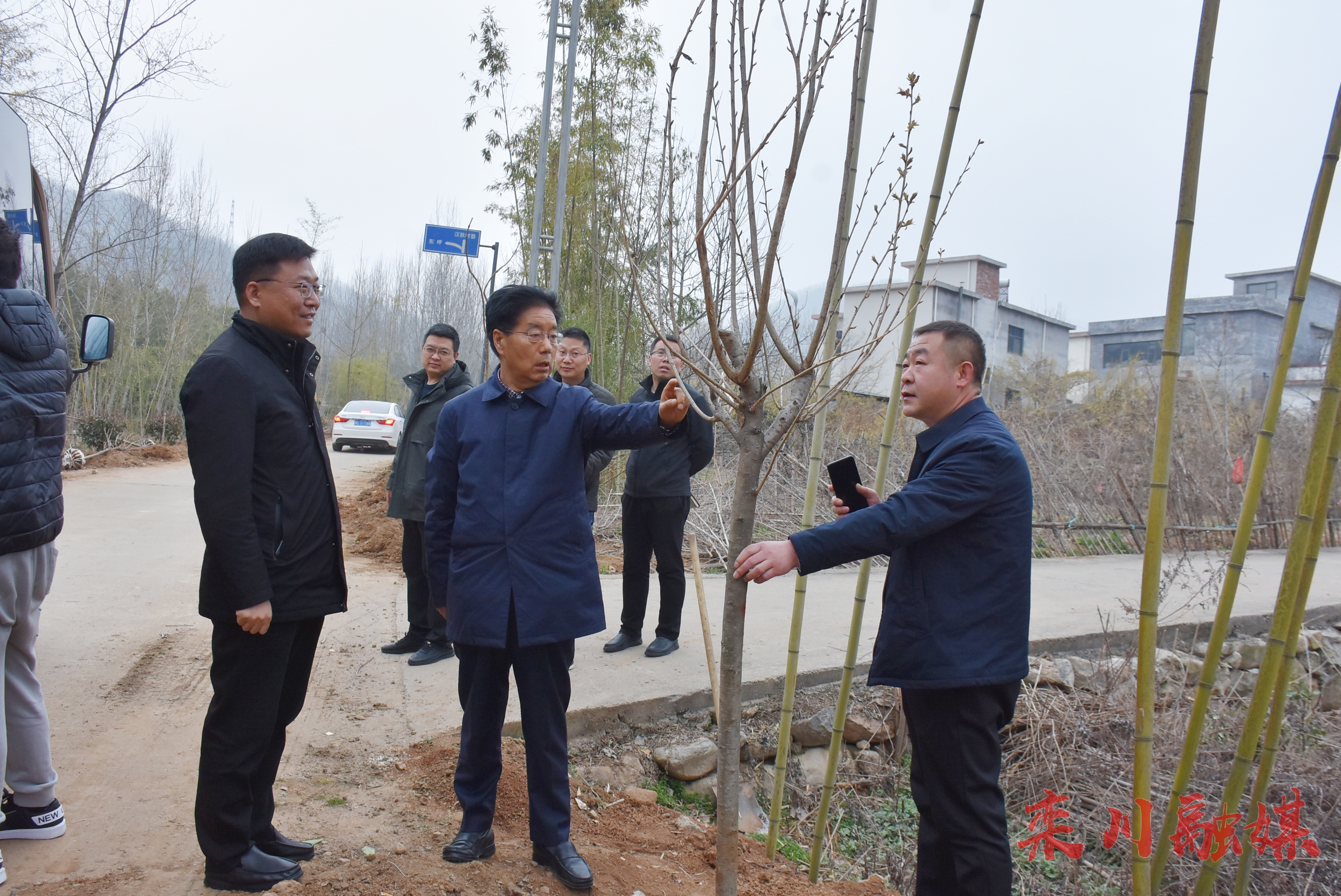 栾川县:王明朗督导调研国土绿化工作