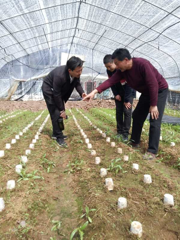 河南鲁山:驻村两年多,他靠真情和实干成为"终身名誉村民"