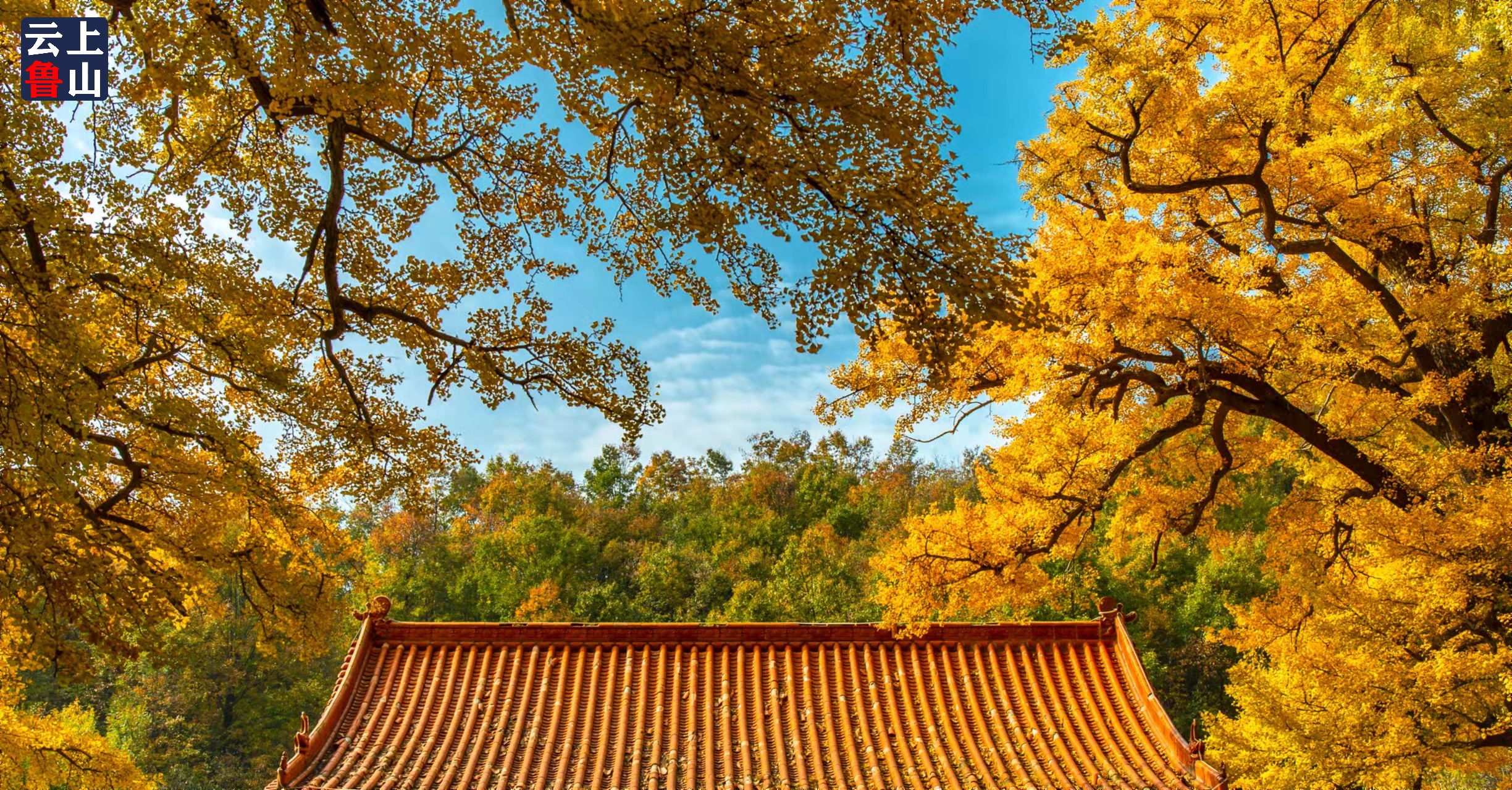 微信图片_20211029081431.jpg