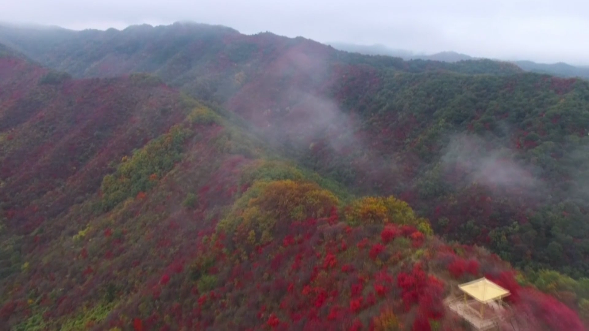 黄河明珠终稿(9[00_00_01][20201110-105900].png