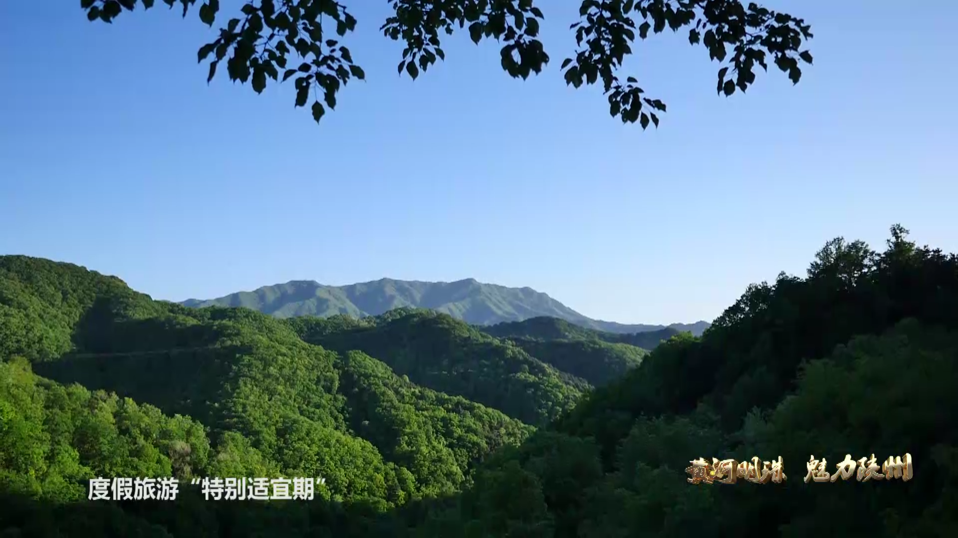 黄河明珠终稿(9[00_02_11][20201110-110313].png